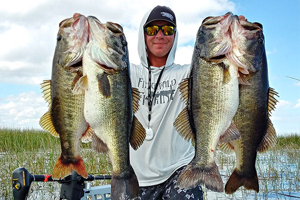 The SWFL Expereience